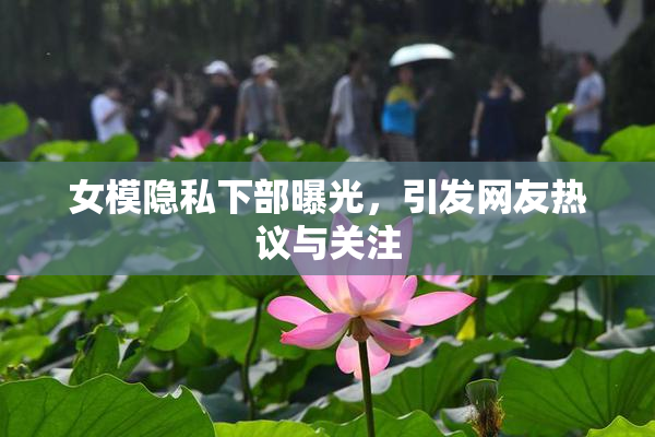 女模隐私下部曝光，引发网友热议与关注