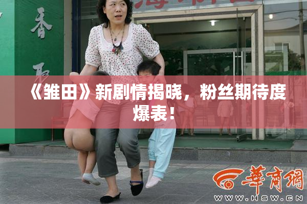 《雏田》新剧情揭晓，粉丝期待度爆表！
