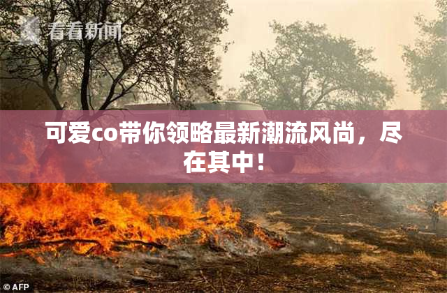 可爱co带你领略最新潮流风尚，尽在其中！