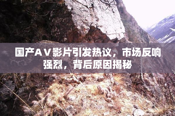 国产AⅤ影片引发热议，市场反响强烈，背后原因揭秘