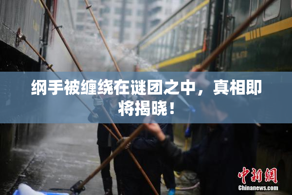 纲手被缠绕在谜团之中，真相即将揭晓！