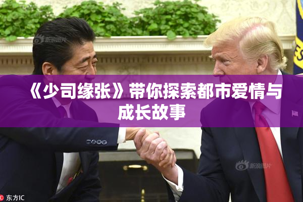 《少司缘张》带你探索都市爱情与成长故事