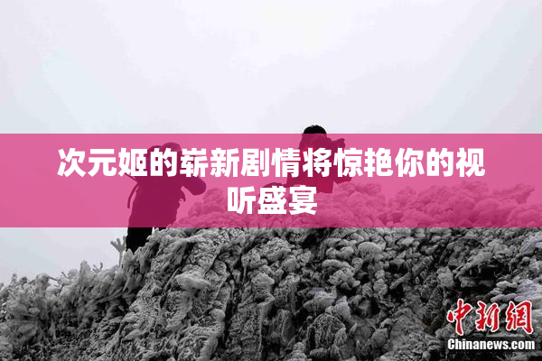 次元姬的崭新剧情将惊艳你的视听盛宴