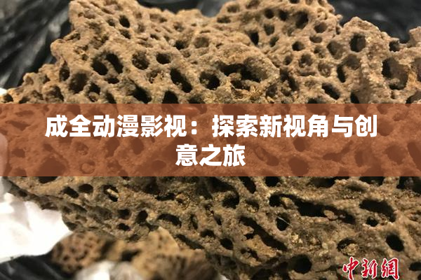 成全动漫影视：探索新视角与创意之旅