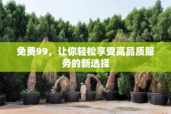 免费99，让你轻松享受高品质服务的新选择