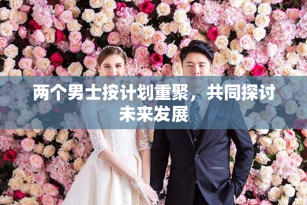 两个男士按计划重聚，共同探讨未来发展