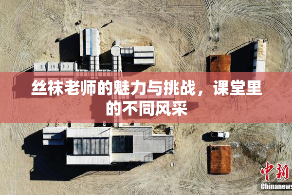 丝袜老师的魅力与挑战，课堂里的不同风采