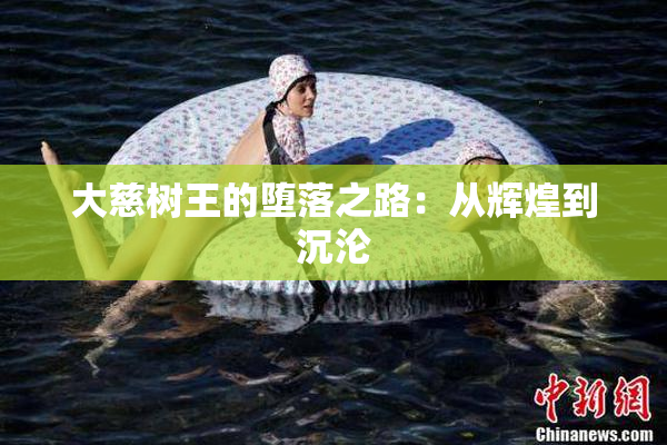 大慈树王的堕落之路：从辉煌到沉沦