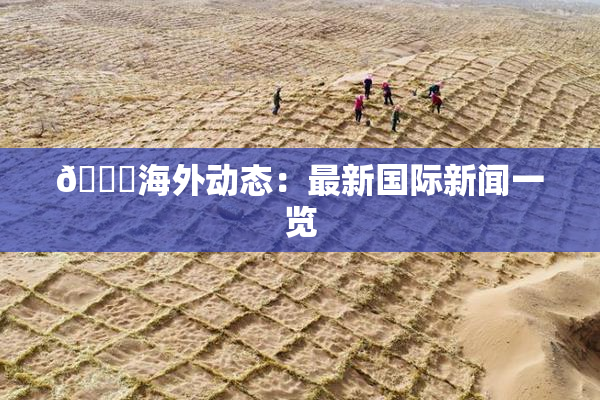 🔞海外动态：最新国际新闻一览