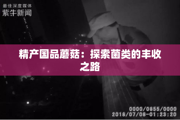 精产国品蘑菇：探索菌类的丰收之路