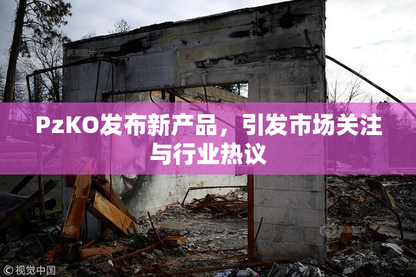 PzKO发布新产品，引发市场关注与行业热议