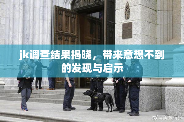 jk调查结果揭晓，带来意想不到的发现与启示