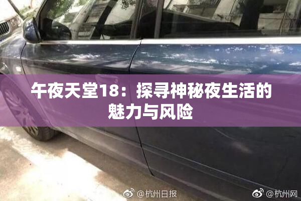 午夜天堂18：探寻神秘夜生活的魅力与风险