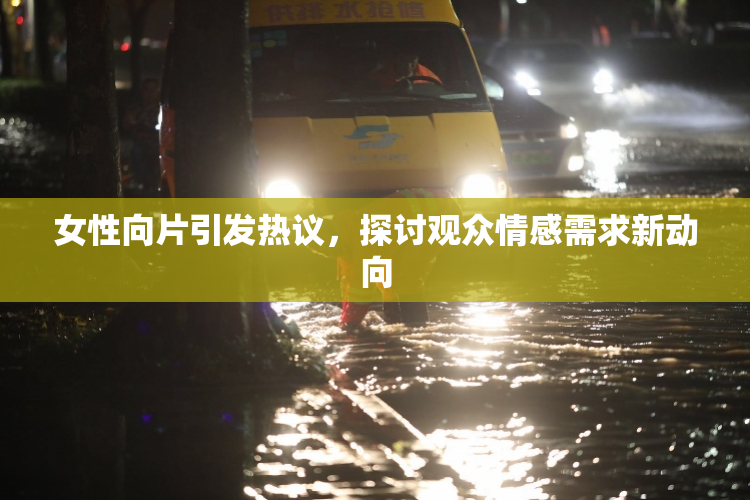 女性向片引发热议，探讨观众情感需求新动向