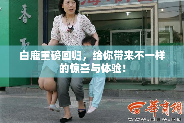 白鹿重磅回归，给你带来不一样的惊喜与体验！