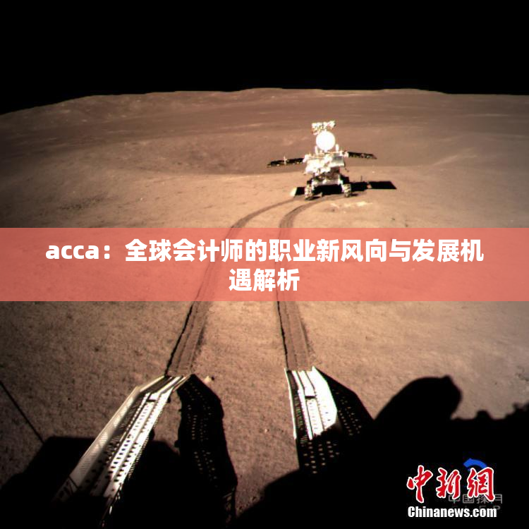 acca：全球会计师的职业新风向与发展机遇解析