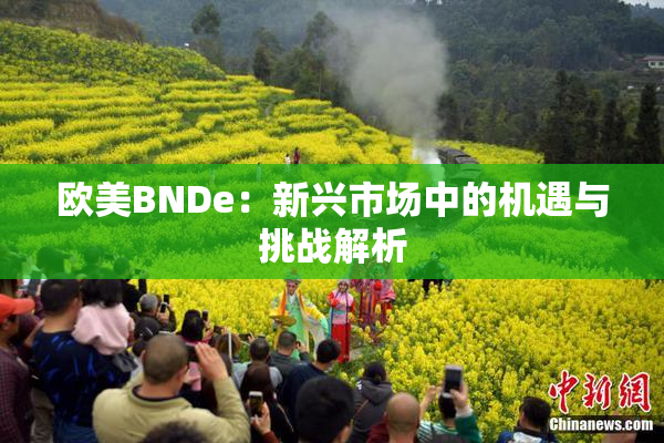 欧美BNDe：新兴市场中的机遇与挑战解析