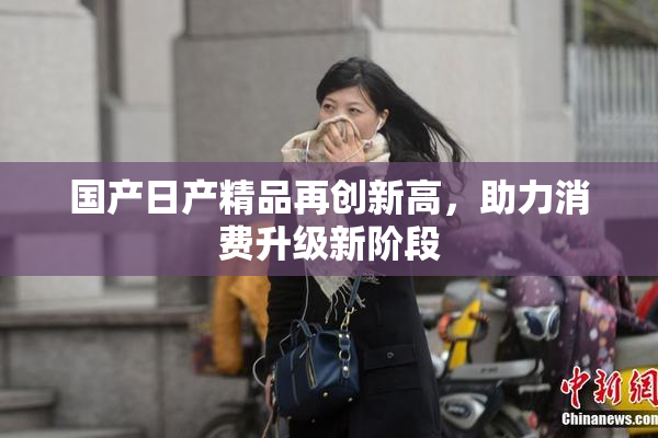 国产日产精品再创新高，助力消费升级新阶段