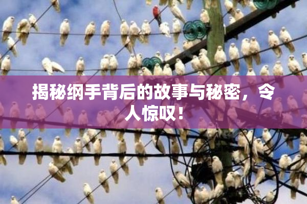 揭秘纲手背后的故事与秘密，令人惊叹！