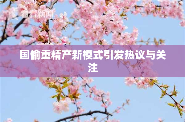 国偷重精产新模式引发热议与关注