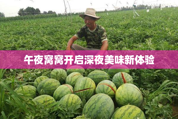午夜窝窝开启深夜美味新体验