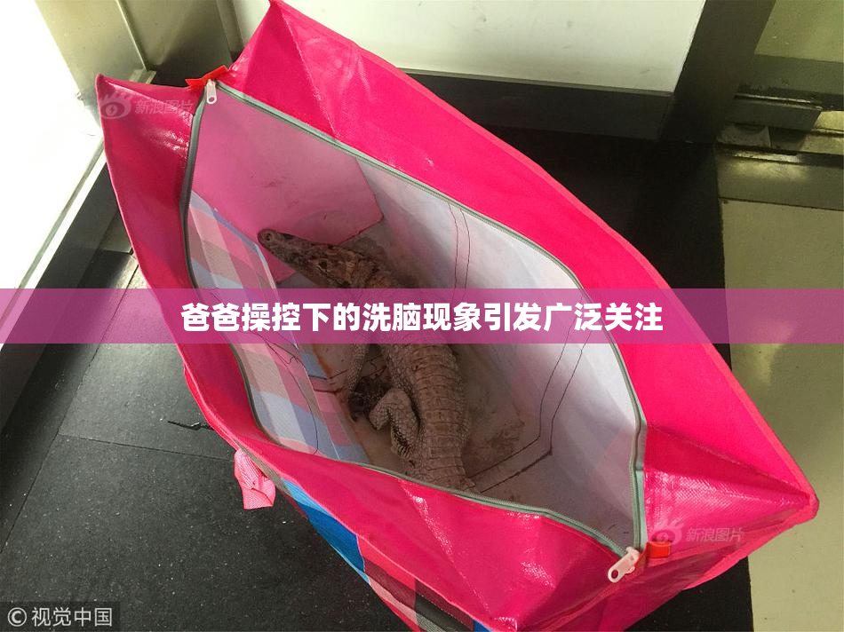 爸爸操控下的洗脑现象引发广泛关注
