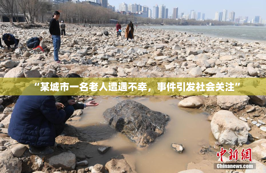 “某城市一名老人遭遇不幸，事件引发社会关注”