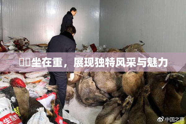 妺妺坐在重，展现独特风采与魅力