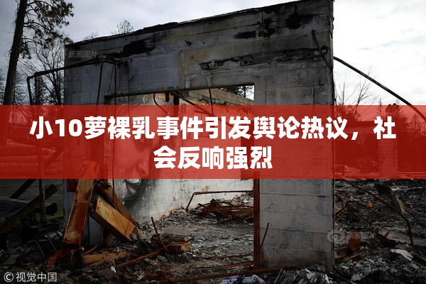 小10萝裸乳事件引发舆论热议，社会反响强烈