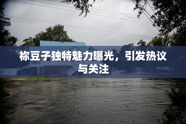 祢豆子独特魅力曝光，引发热议与关注