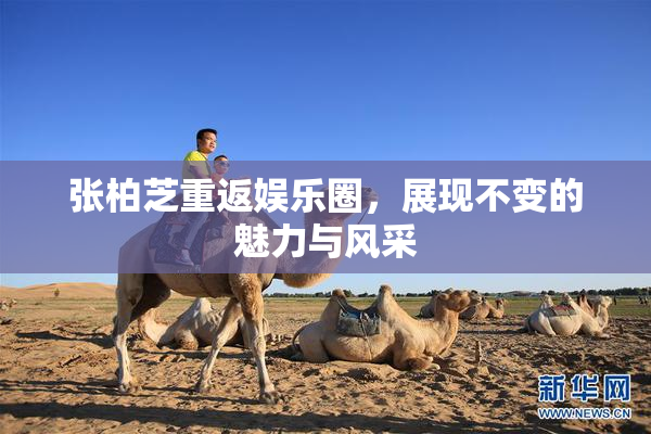 张柏芝重返娱乐圈，展现不变的魅力与风采