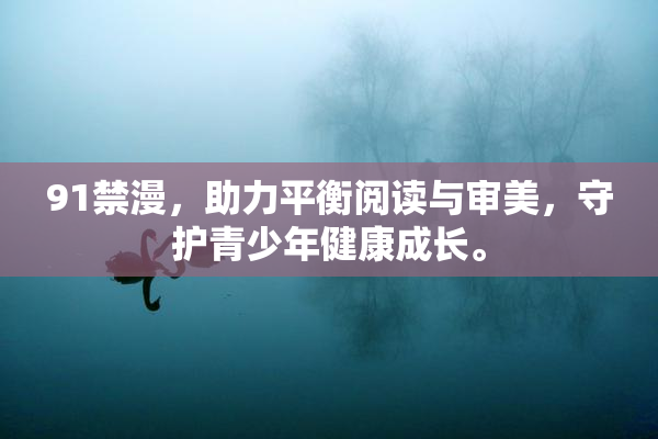 91禁漫，助力平衡阅读与审美，守护青少年健康成长。