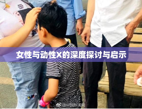 女性与动性X的深度探讨与启示