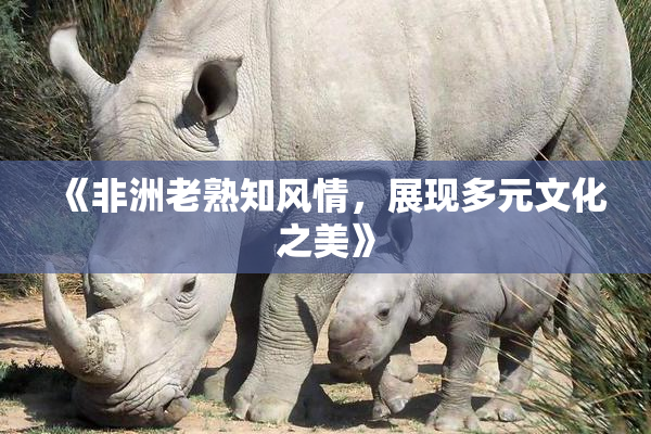 《非洲老熟知风情，展现多元文化之美》