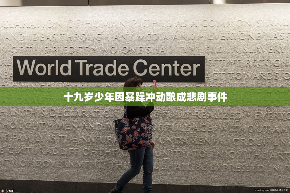 十九岁少年因暴躁冲动酿成悲剧事件