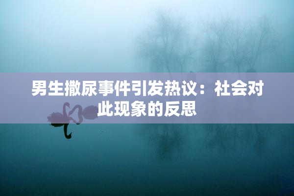 男生撒尿事件引发热议：社会对此现象的反思