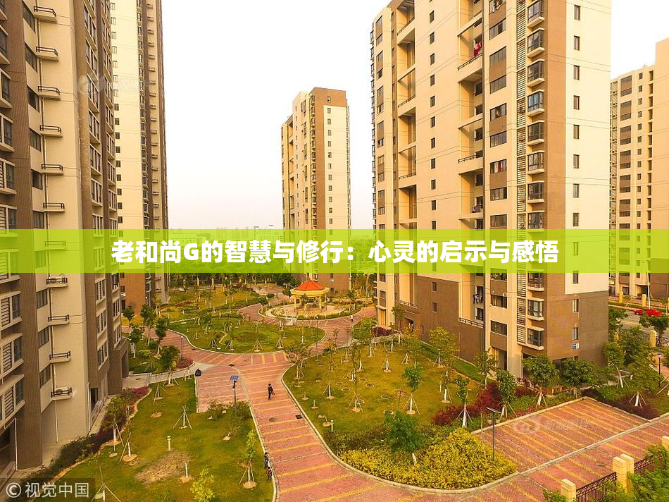 老和尚G的智慧与修行：心灵的启示与感悟