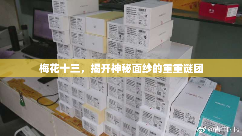 梅花十三，揭开神秘面纱的重重谜团