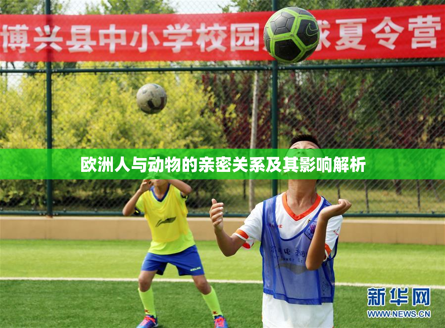 欧洲人与动物的亲密关系及其影响解析