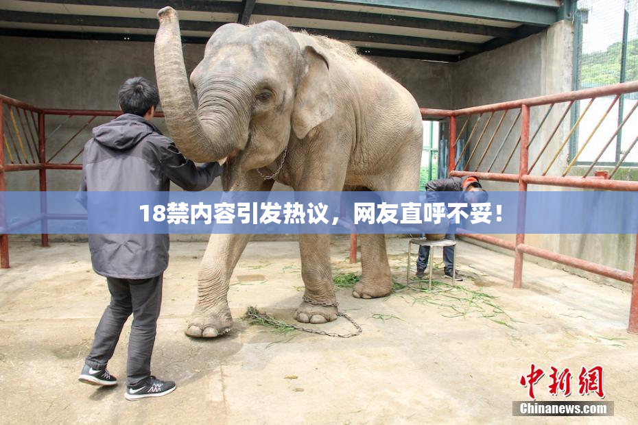 18禁内容引发热议，网友直呼不妥！