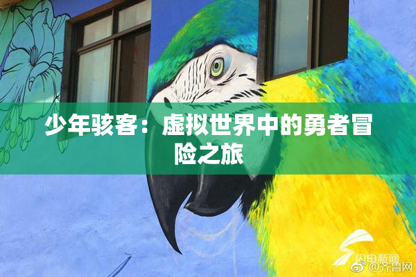 少年骇客：虚拟世界中的勇者冒险之旅
