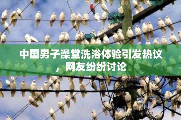 中国男子澡堂洗浴体验引发热议，网友纷纷讨论