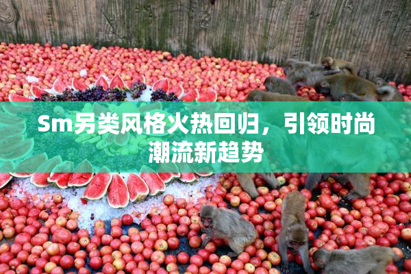 Sm另类风格火热回归，引领时尚潮流新趋势
