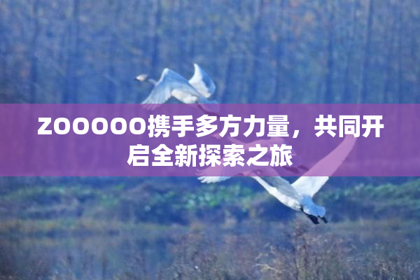 ZOOOOO携手多方力量，共同开启全新探索之旅