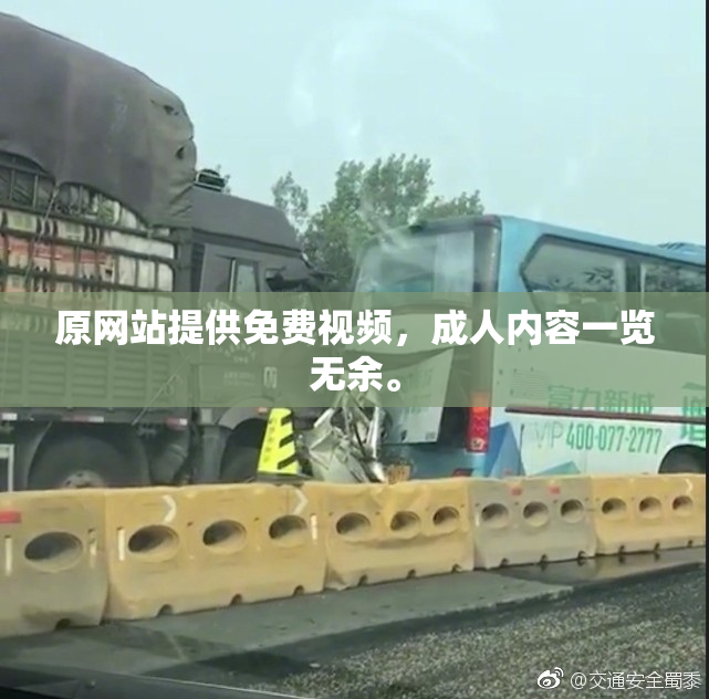 原网站提供免费视频，成人内容一览无余。