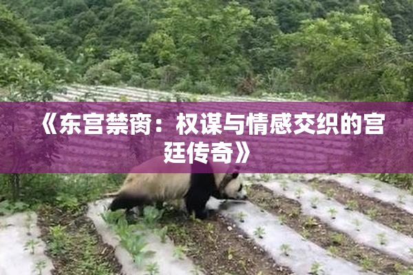 《东宫禁脔：权谋与情感交织的宫廷传奇》