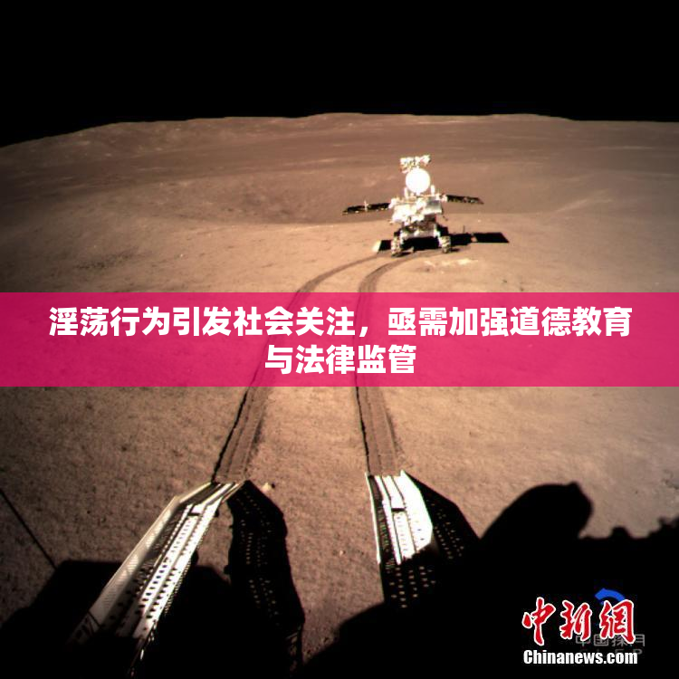 淫荡行为引发社会关注，亟需加强道德教育与法律监管