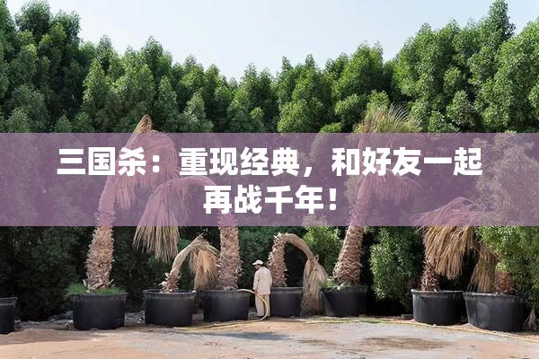 三国杀：重现经典，和好友一起再战千年！