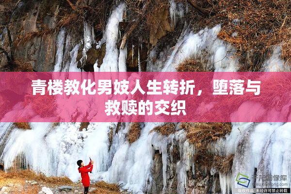 青楼教化男妓人生转折，堕落与救赎的交织