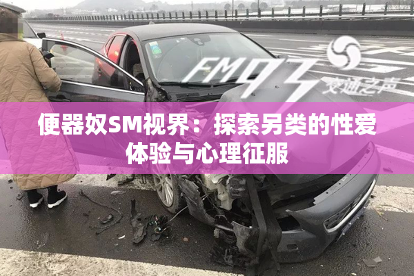 便器奴SM视界：探索另类的性爱体验与心理征服